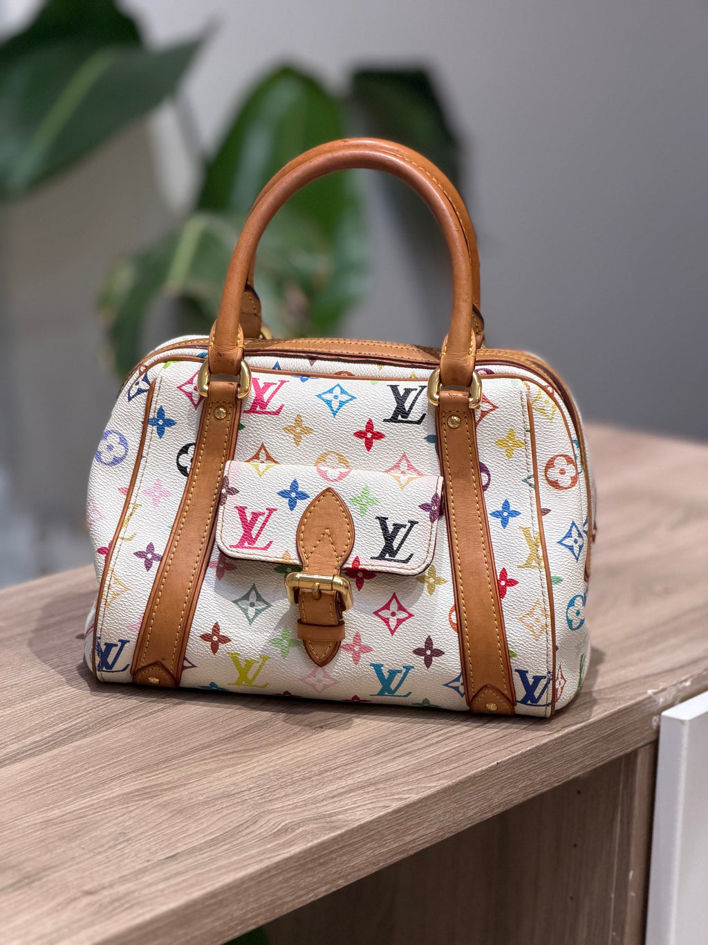 Louis Vuitton Multicolor Monogram Handbag