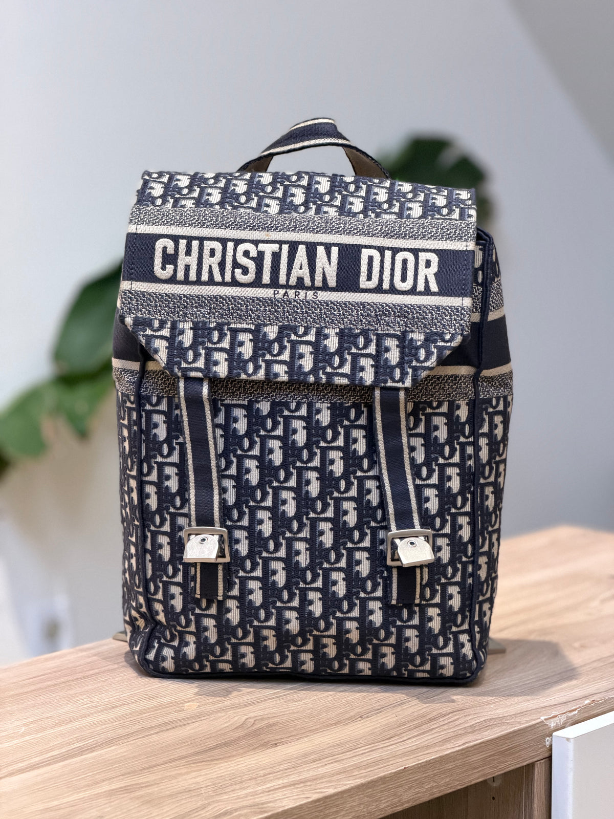Christian Dior Oblique Canvas Backpack