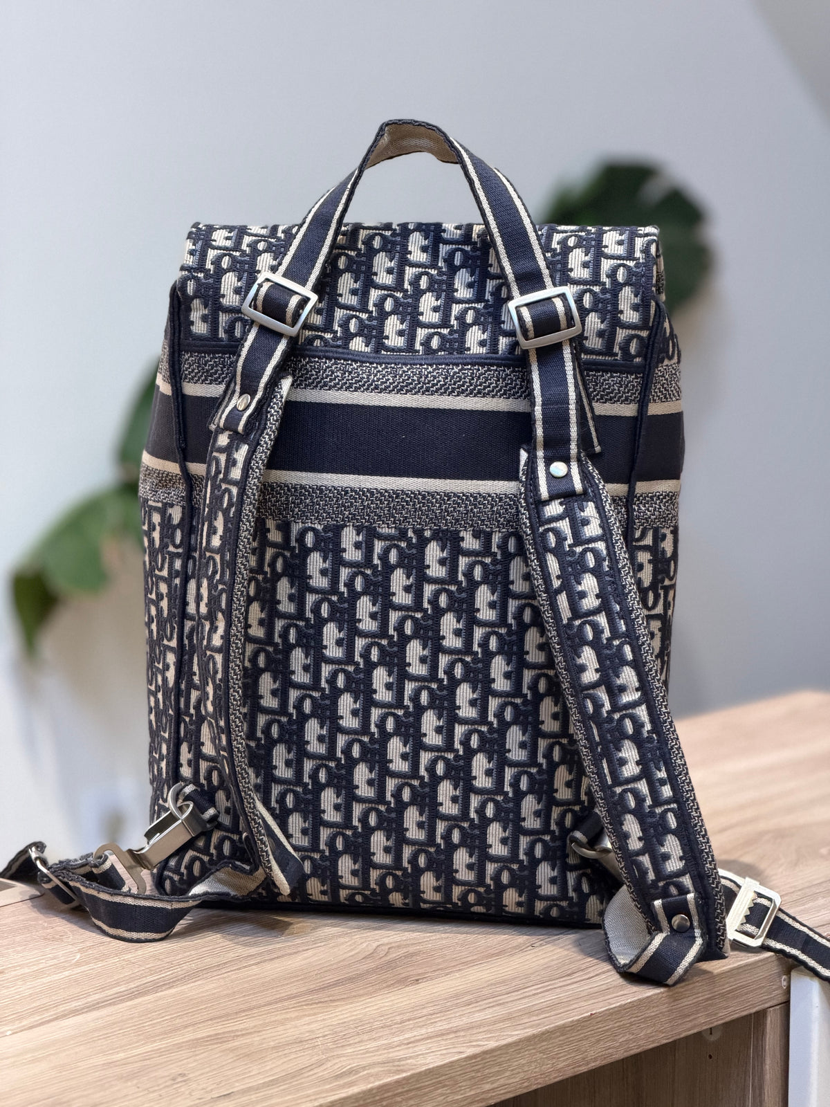 Christian Dior Oblique Canvas Backpack