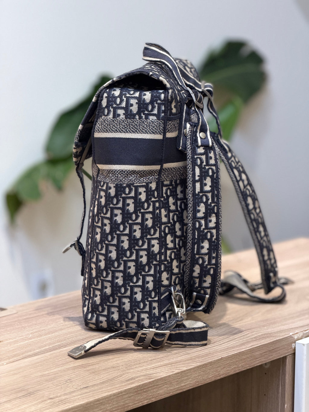 Christian Dior Oblique Canvas Backpack