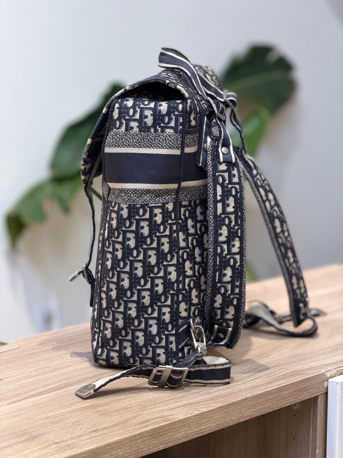 Christian Dior Oblique Canvas Backpack
