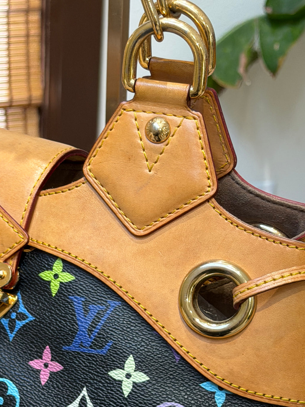 Louis Vuitton Multicolor Monogram Handbag